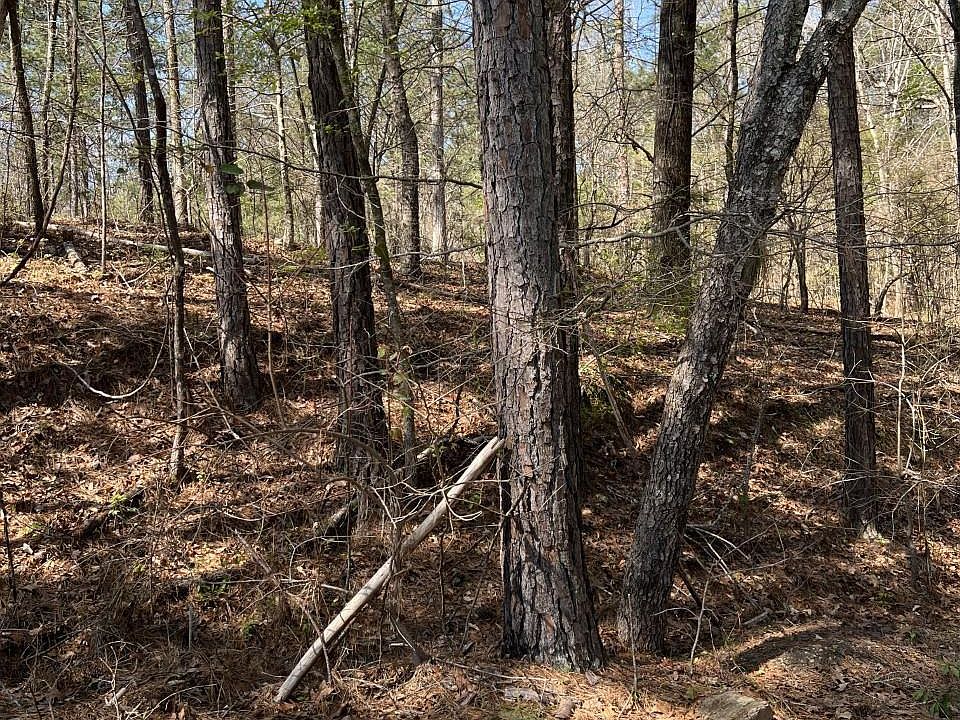 1st image of 0 County Road 546 #16
