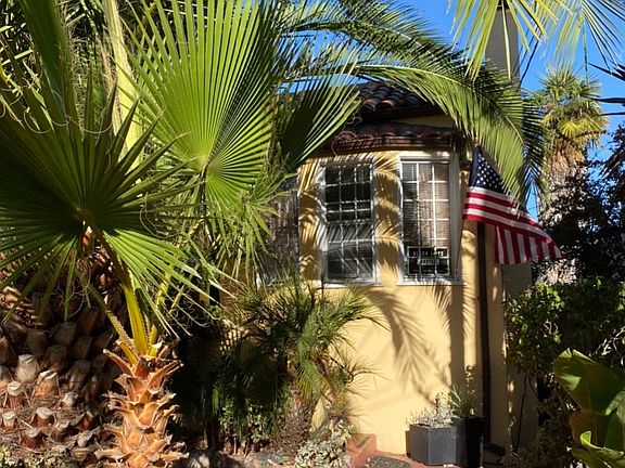 Front entrance with Date, Fan and Pygmy Palms, succulents and a spectacular bougainvillea_