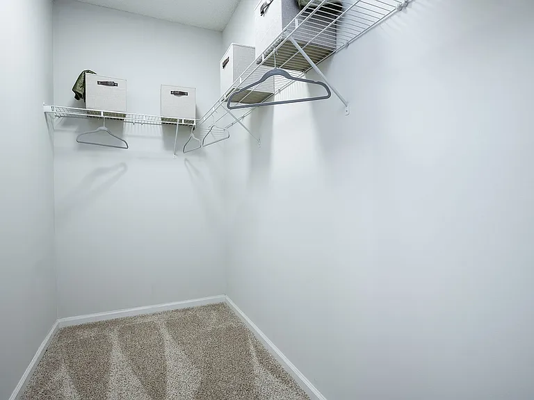 Walk-in closet with built in shelving