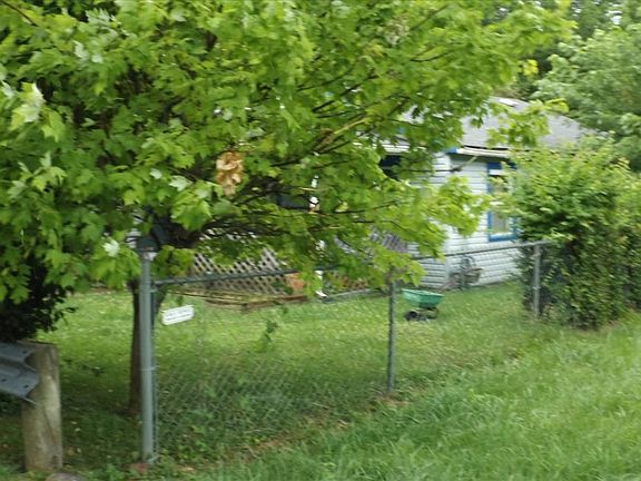 3rd image of 4428 Fairpark Ave