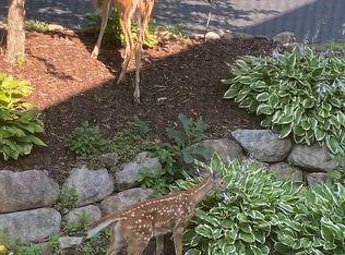 458 Carriage Ln, Hudson, WI 54016