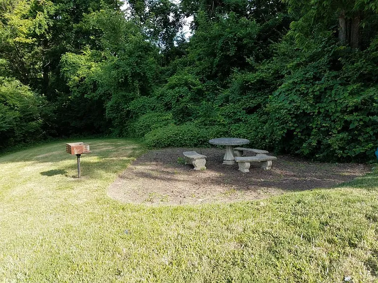 picnic site