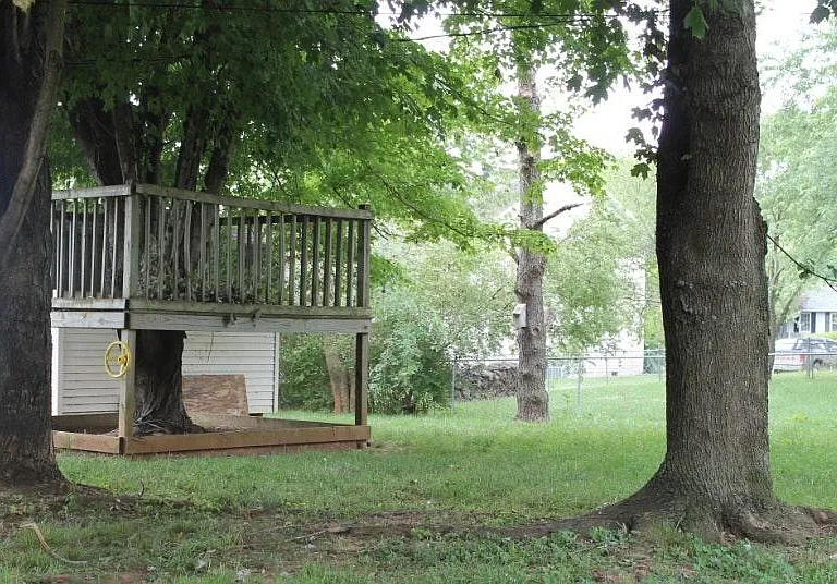Back yard