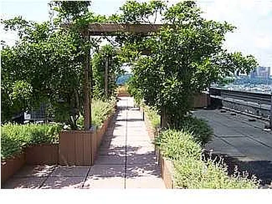 Rented by Ann Ferguson, LLC | media 50