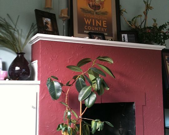Living Room Fireplace