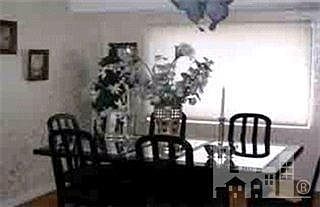 5th image of 1518 S Lake Park Boulevard #4A