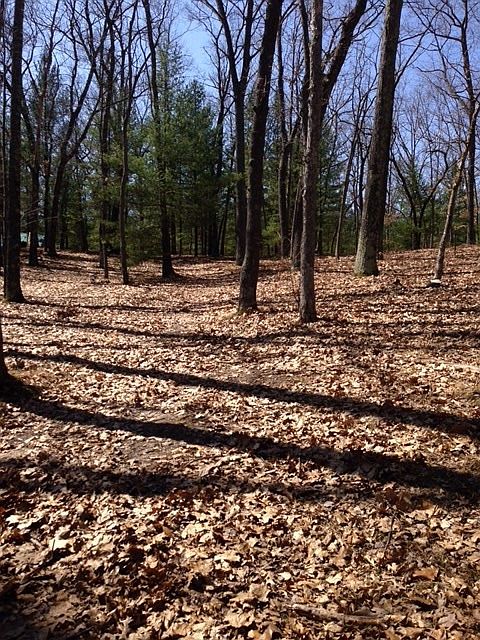 2nd image of 11010 S Birchwood