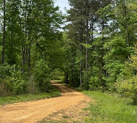 4th image of 104 Homochitto National Forest Rd