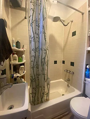 Rented by Bedford 6 Real Estate | media 11