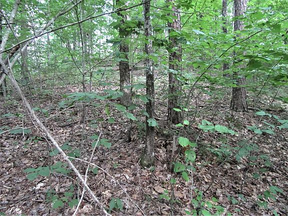 5th image of 611 Solomon Seal Way Lot 40