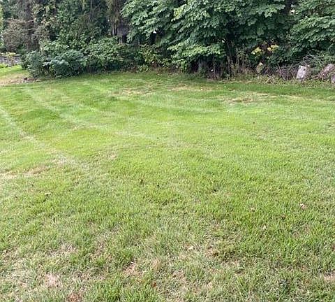 5th image of 89 Fairmount Dr
