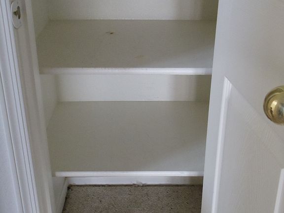 Downstairs linen closet 