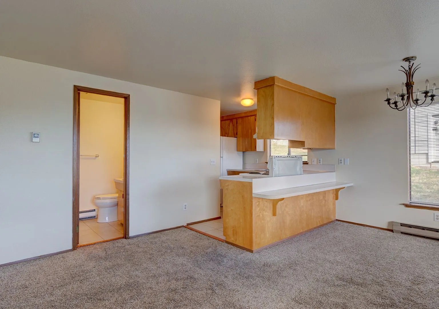 1 Bed 1 Bath Close to Downtown! — Photo 4