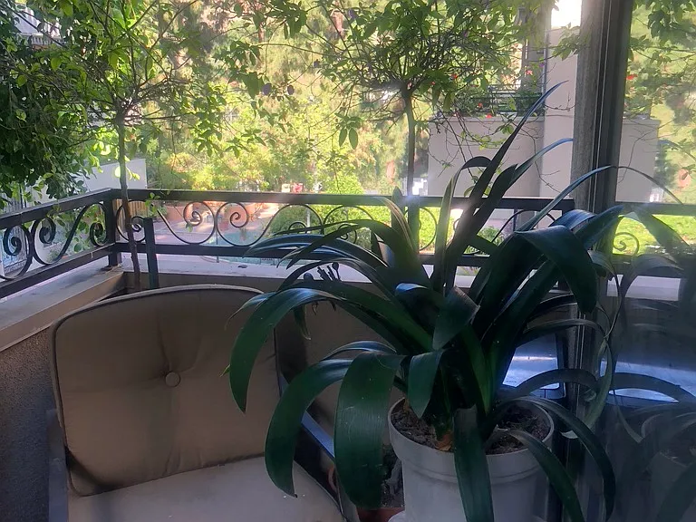 6708 Hillpark Dr #202 — Photo 9