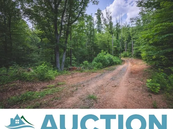 Tbd Dogwood Mountain Ln, Woolwine, VA 24185