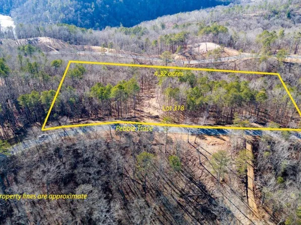 318 Pebble #Trc, Talking Rock, GA 30175