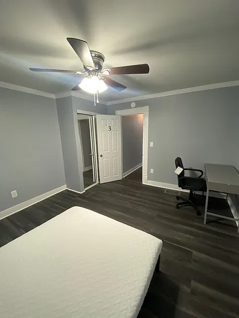 220 Bassett St - Apt 2 — Photo 4