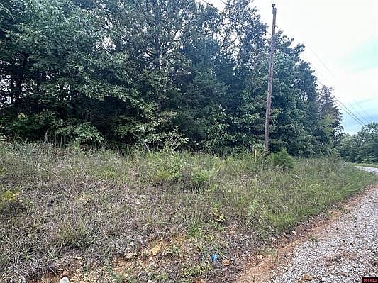 3rd image of 0 County Road 137 #3-2