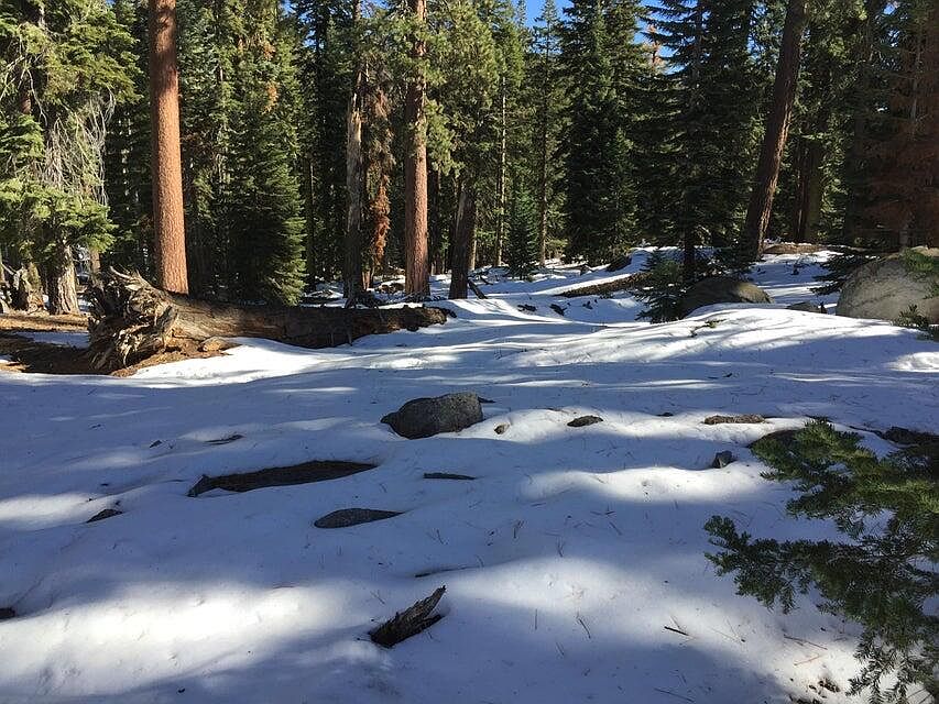 2nd image of 57955 Summit Drive