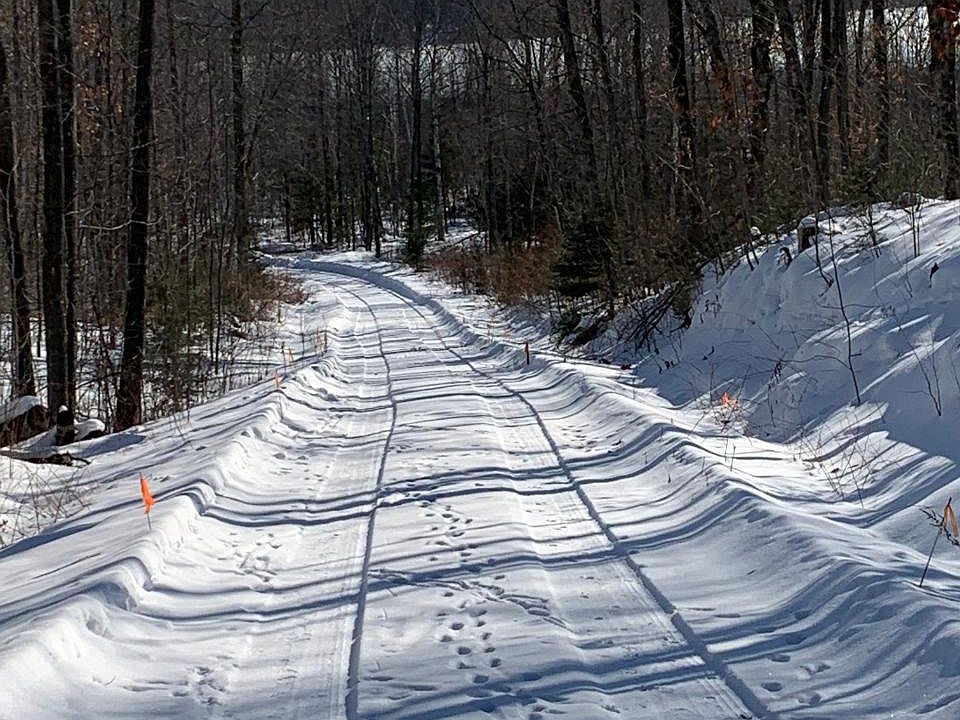 1st image of Woodland Dr