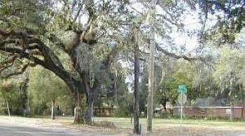 1st image of 106 Cahoon