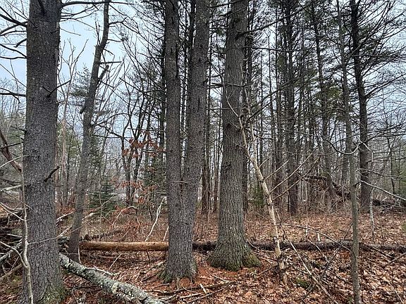 3rd image of 74 Mountain Road
