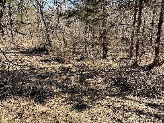 2nd image of 0 Country Acres Ln