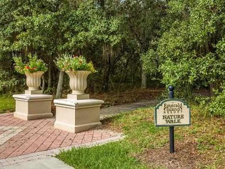 Palm Harbour Dr — Photo 10