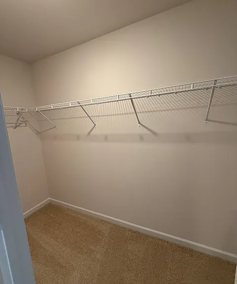 1323 Broholmer Ln — Photo 11
