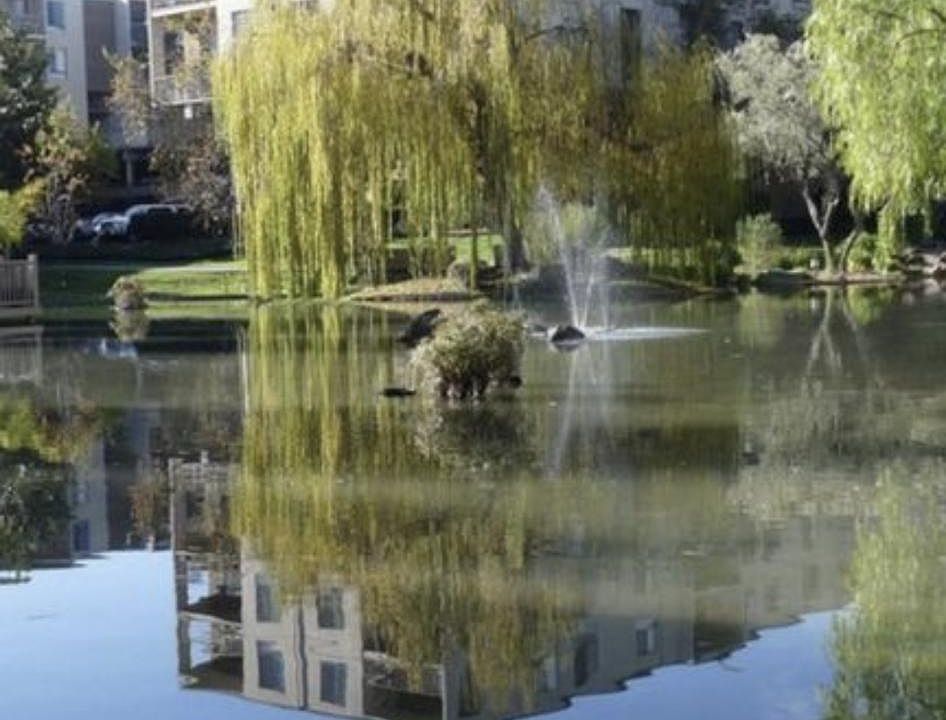 Grounds