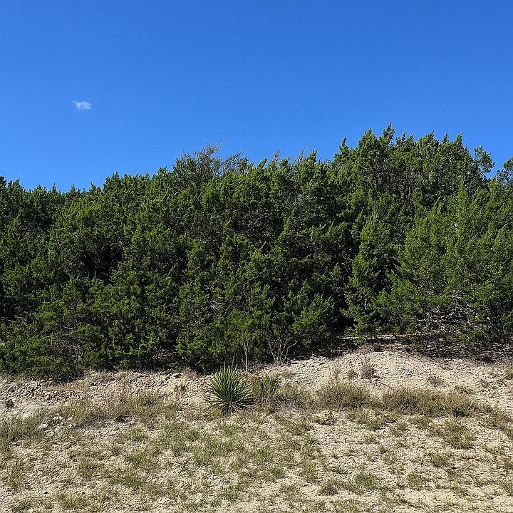 2nd image of 119 N Stallion Estates Dr. LOT 28
