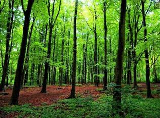 1600 Mike Stuck Rd, Little Mountain, SC 29075