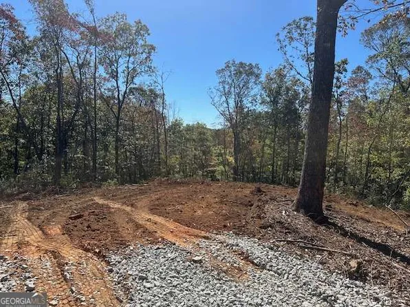 3.71 Yancy Dr, Dawsonville, GA 30534