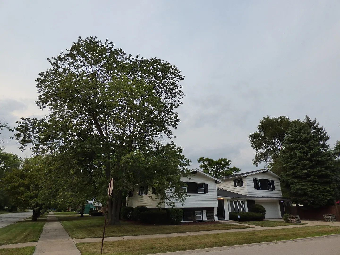 14845 Clark St photo 1