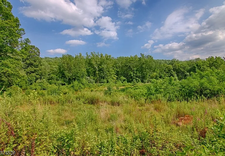 496 Mine Brook Rd — Photo 21