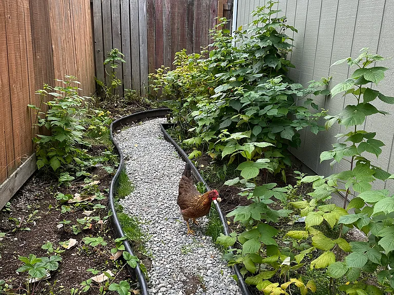 221 W 123rd Ave — Photo 18