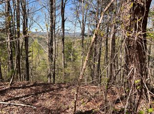 33 Wilderness Lake Dr, Murphy, NC 28906
