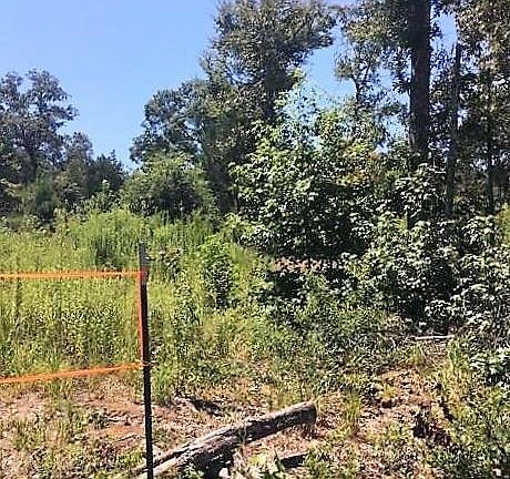 3rd image of 2201 Vz County Road 4709