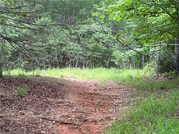 0 Old Lowgap Road, Lowgap, NC 27024
