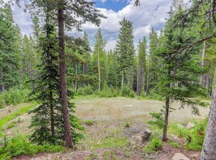 239 Long Rd, Idaho Springs, CO 80452