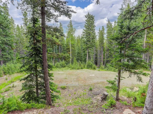 239 Long Road, Idaho Springs, CO 80452