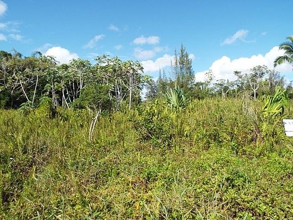 5th image of Wahi Heiau Lot 61