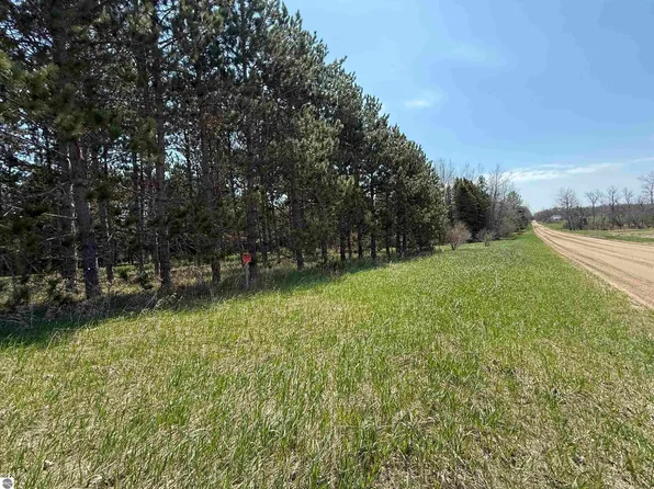 0 Hodge Rd, Fife Lake, MI 49633