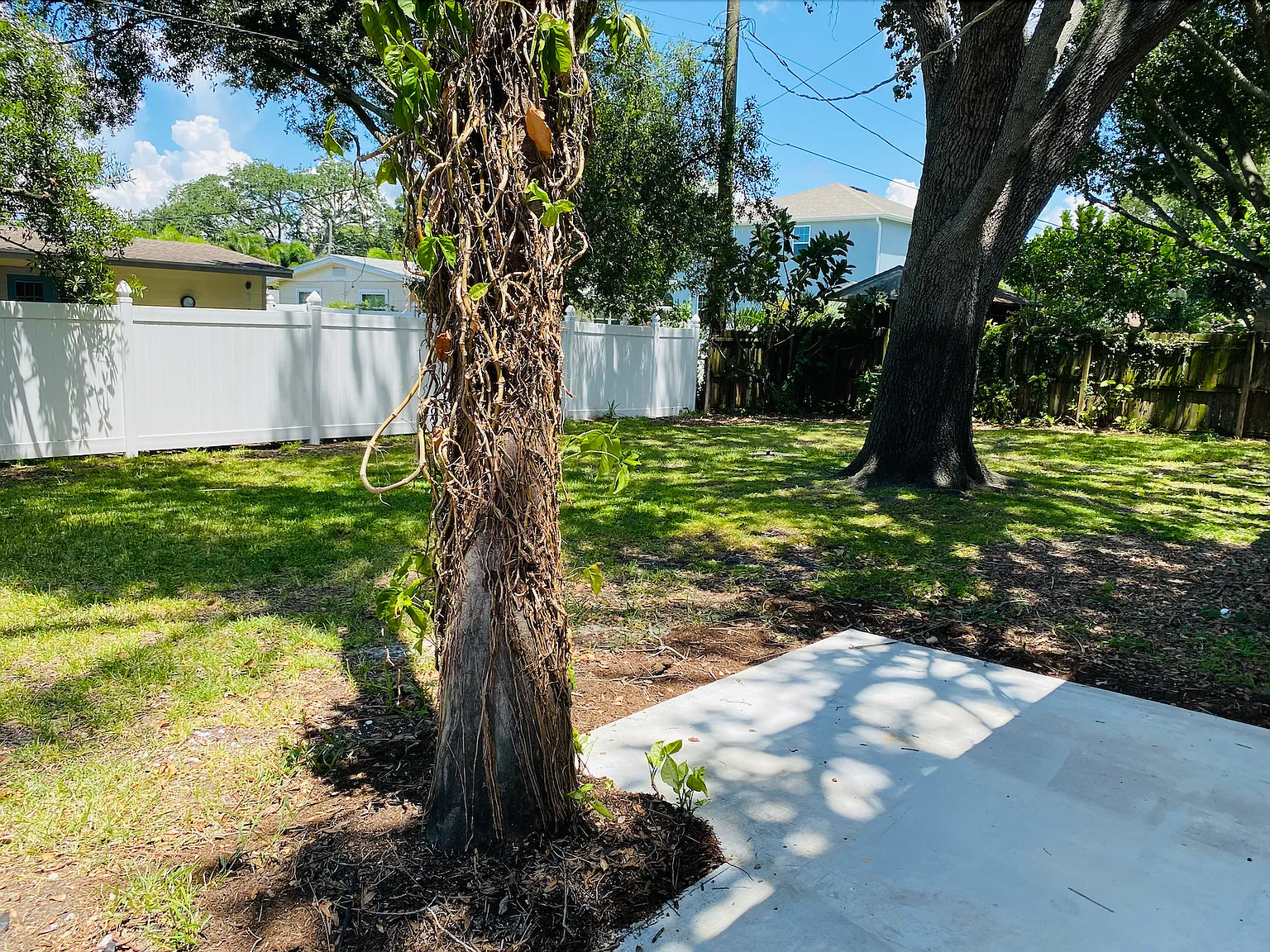 4 bed, 1152 sqft, $4,500 — Photo 4