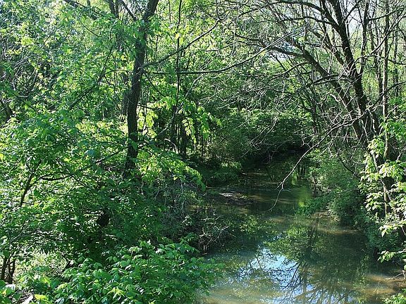 Long Creek in the spring