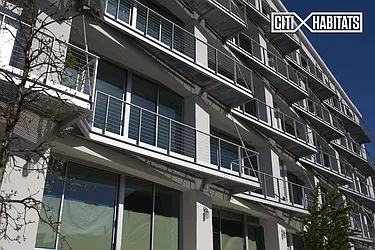 Rented by Citi Habitats