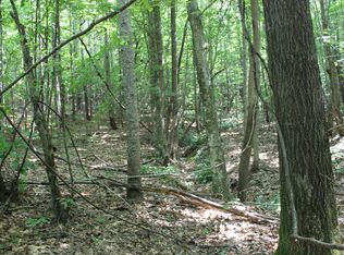 Buck Rd, Daviston, AL 36256