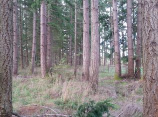 13226 Horizon Pioneer Rd SE, Rainier, WA 98532