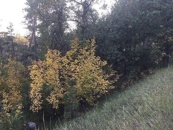 2nd image of Pioneer Cir