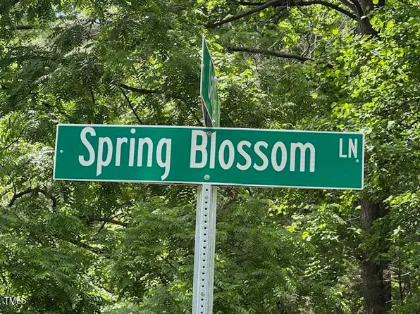 103 Spring Blossom Ln #1, Durham, NC 27705